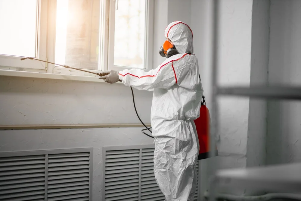 Professional mold remediation services in Wadley, GA